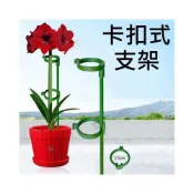 (店+)卡扣式支架 植物支架 蘭花夾 植物支撐架 盆栽支架 爬藤支架 花盆支撐架 葉架