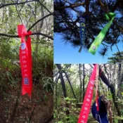 客製化【飄帶】定做戶外路標條 飄帶登山條 徒步安全標記布條 綵帶爬山驢友 新車絲帶