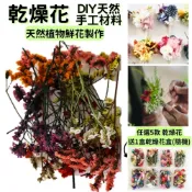 【A-ONE】永生水晶草 綜合乾燥花材 乾燥綜合乾燥花材料 滿天星 卡斯比亞 星辰花 兔尾草 棉花 松果 麥桿菊