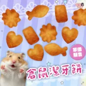24H挑戰最便宜 倉鼠潔牙餅 單個販售 倉鼠零食 黃金鼠 鼠用潔牙餅 寵物鼠零食 鼠零食 倉鼠磨牙零食 布丁鼠 銀狐