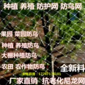 協貿國際日用品生活10館 網子防鳥爬藤網防鳥網阻攔魚線嘉寶果蝦池院子紗網園藝果樹白色