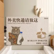 客製化 卡通進門地墊絲圈入戶門口玄關地毯家用大門口蹭土蹭泥腳墊子定制