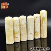 【台灣現貨】龍宮 白靈骨 光明 珊瑚 舍利 印章 天然 精品 轉運 開運 招 財 好運 靈招 人緣 桃花