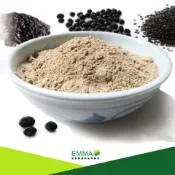 黑五穀粉 600g 精選原料黃金組合搭配 原磨粉無糖 無人工添加物 純素食 最健康的沖泡飲品 易買健康