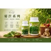 健康活力站～植引生技 ~ 菊苣粉-菊苣錠