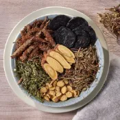 【特級苦茶】苦茶 極苦 超退火 茶包 青草茶 無化學添加物 天然漢方