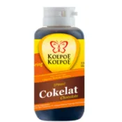 KOEPOE KOEPOE PASTA CHOCOLATE 調味精（巧克力）