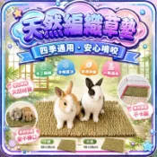 【現貨】兔子小寵草墊 兔子趴墊 天然手工編織牧草墊 磨牙 草墊 寵物腳墊 兔子腳墊 稻草墊 小寵草墊 豚鼠龍貓天竺鼠倉鼠
