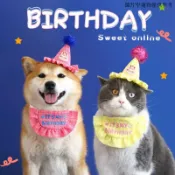寵物生日帽 生日配件 狗生日帽 狗狗生日 生日領巾 貓咪生日 寵物貓狗生日裝飾帽子圍兜生日快樂立體蛋糕生日派對佈置可愛