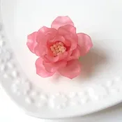 玫瑰胸針 聖修伯裡 薔薇 玫瑰 單瓣 花朵 胸飾 輕盈 粉紅 公主 可愛 甜美 星之王子