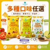 The Vegan樂維根 豆皮咔滋脆 素食 蛋白餅乾 蛋白點心 零食 健身零食 素食蛋白餅乾 高纖 低熱量 電子發票