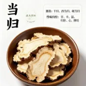 🔥台灣出貨【當歸種子】藥用植物 漢方草藥種子 可食用 滋補養生 自家陽台盆栽 園藝療癒 新鮮種子 易栽種 台灣家庭園藝