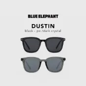 【BLUE ELEPHANT】DUSTIN MAIN一般款式 太陽眼鏡 墨鏡 附盒 官方旗艦店