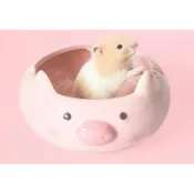 花露米二館 預購+現貨 可愛卡通小動物造型 大浴室 食盆 飼料盆 陶瓷菸灰缸 創意 多功能 倉鼠 黃金鼠 天竺鼠 兔子