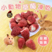 小動物草莓凍乾 草莓凍乾 小寵草莓凍乾 小寵物零食 磨牙零食 小動物果乾 鼠兔零食 小寵物水果乾 草莓果乾