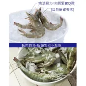 寶媽好食多｜泰國生白蝦-250克｜13-14隻｜鮮甜白蝦｜50/60規格｜小家庭一餐一盒剛剛好