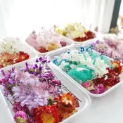 (店+)【JOEKI】乾燥花花藝材料包 拍照道具 花材 乾花 裝飾用 居家裝飾 卡片裝飾 DIY