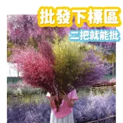 (店+)乾燥花批發 二把就能批發價 卡斯比亞 情人草 永生花 花束 花材 浮游花 乾燥花