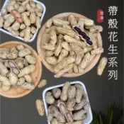 【緹泰食光】年節必備 帶殼花生系列 鹹酥 蒜味 9號 黑金剛