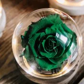 綠玫瑰/花夜燈/永生花玻璃盅/生日禮物/聖誕禮物/永生花禮/不凋花