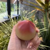 【大隱】宜興紫砂茶寵小壽桃茶盤擺件茶玩手把件原礦段泥可養包漿裝飾雕塑