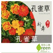 孔雀草(約20粒種子) 孔雀草種子 萬壽菊 驅蟲花卉 景觀花種 陽台盆栽 花卉種子【綠色山嵐】