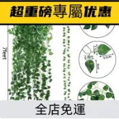 2M 人造常春藤綠化花環假藤掛植物背景房間臥室牆壁裝飾綠葉叢林主題派對婚禮裝飾S