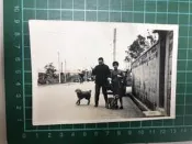 【台灣博土TWBT】202403-080 台灣 眷村 兩人遛狗 照片 1960~70年代 老件