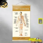 爆款免運🔥經絡圖大掛圖人體穴位中醫圖解艾灸養生標準針灸推拿全身按摩掛畫AM