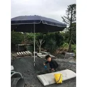 ＊文青園藝＊純田土 種植 土包