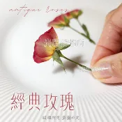 🔥🇹🇼 【台灣現貨】【光圈飾物所】薔薇花 玫瑰花 乾燥花 押花 滴膠 DIY 押花材料 封蠟印章 幼稚園教具 兒童教具