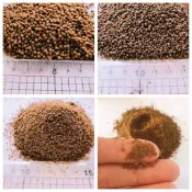 魚飼料/蝦飼料/鰻魚粉 浮料 沉底飼料 魚飼料 蝦子飼料