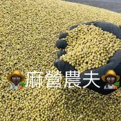 台灣綠豆 粉綠豆 2公斤 毛綠豆 國產綠豆 台南5號綠豆 溯源農糧 麻營農夫 綠豆 量販包