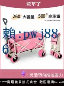 最佳優品 【可打統編 超低價】露營車擺攤小推車戶外折疊營地車野營野餐旅行手推車購物車取快遞