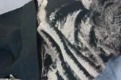 Italy Paul Smith 肩44 黑 100棉 彈性 tee
