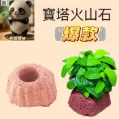 (店+)台灣現貨快速出貨 寶塔火山石 水草定植 水草 水族 魚缸 孔雀魚 鬥魚 草缸 水草定植盆