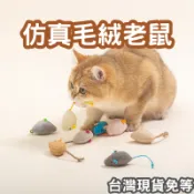 【12HR台灣出貨】貓薄荷 毛絨老鼠 可愛老鼠 貓咪玩具 貓玩具 逗貓玩具 啃咬玩具 貓抓老鼠 老鼠 老鼠玩具 靜音