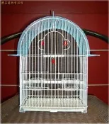==臻品寵物鳥園==藍色小半圓頂鳥籠鼠籠白文鳥錦靜梅花雀橫斑馬達加斯加虎皮鸚鵡愛情鳥蜜袋鼯花栗鼠小飛鼠01156691#