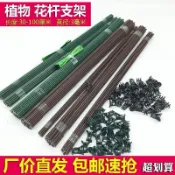 【園藝用品】蝴蝶蘭支架園藝植物夾子花卉固定藤蔓爬藤蘭花金錢樹天堂鳥支撐杆