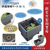 ［水族最便宜］日本GEX 觀賞魚 方型飼育箱 防護網