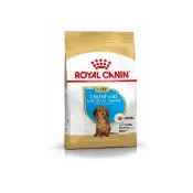 【ROYAL 法國皇家】臘腸成犬專用飼料 DSA 7.5KG(狗乾糧 狗飼料)