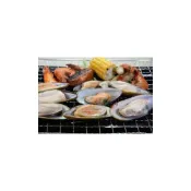 (店+)【萬象極品】紐西蘭半殼淡菜/800gx1盒(約24~26個) 孔雀蛤/貽貝 81441311