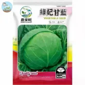 【原廠包裝】綠妃甘藍種子（Green Empress Cabbage）400粒裝 脆嫩高麗菜 家庭盆栽 有機蔬菜種子