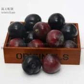 (MOLD-A_193)仿真水果假水果逼真水果模型食品模型櫥柜擺設仿真布林 黑李子
