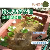 【花園夢想家】新式我家菜園(加深型菜槽) 有機蔬菜均適用.堆肥箱.睡蓮花水生植物.水耕 種菜 家庭園藝 家庭菜圃