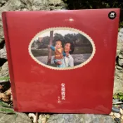 宋冬野 安和橋北 絕版 黑膠 2LP