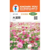 愛上種子 大波斯【花卉種子】大波斯菊 農友牌 特選小包裝種子 約500粒/包