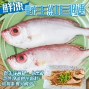 【海陸管家】嚴選野生紅目鰱1隻(每隻約150g)(滿額)