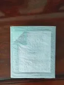 限時下殺千值練 洛克人 exe 綠色