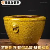 🔥免運⚡開發票⚡破損補發🔥景德鎮陶瓷養魚缸荷花睡蓮盆烏龜錦鯉書畫缸大號水缸庭院客廳擺件